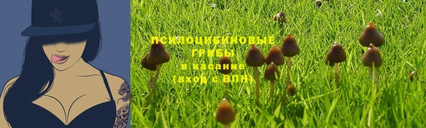 каннабис Медвежьегорск